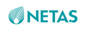 Netaş logosu